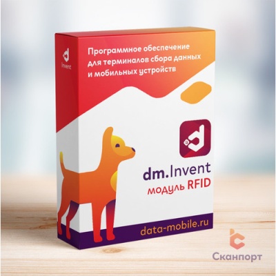 Модуль RFID для DM.Invent (6 месяцев)