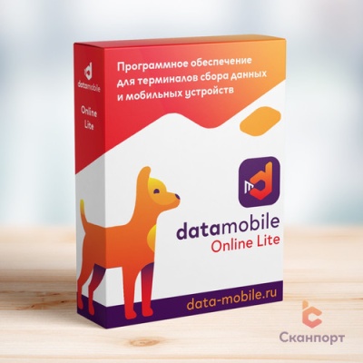 DataMobile Online Lite (6 месяцев)